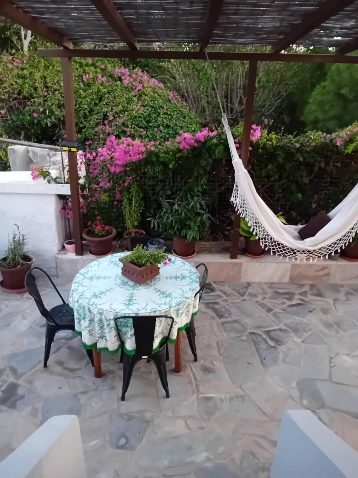 Katerina'S Apartments Kini מראה חיצוני תמונה